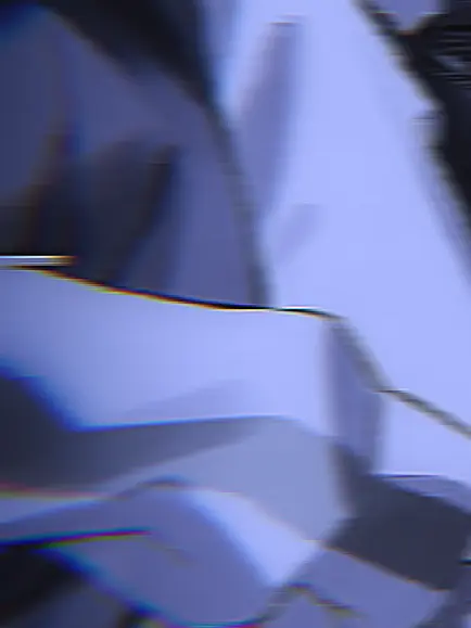 ne_la의 真反対な人達 ─── 。