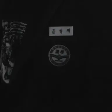 Profile image of 금성제