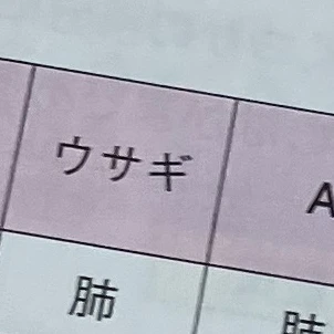 西畑大吾