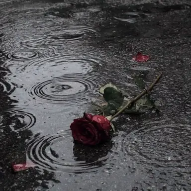 Profile image of 나루미 겐