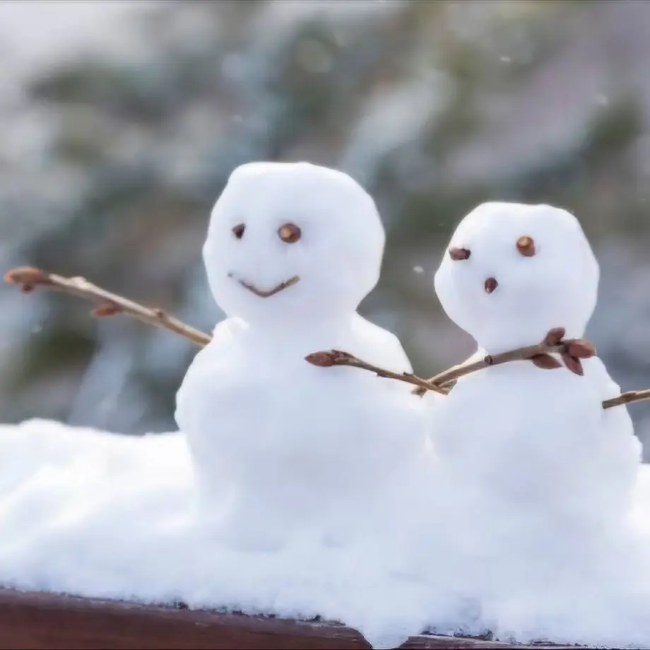 SimpleFlag0539의 나의 생일