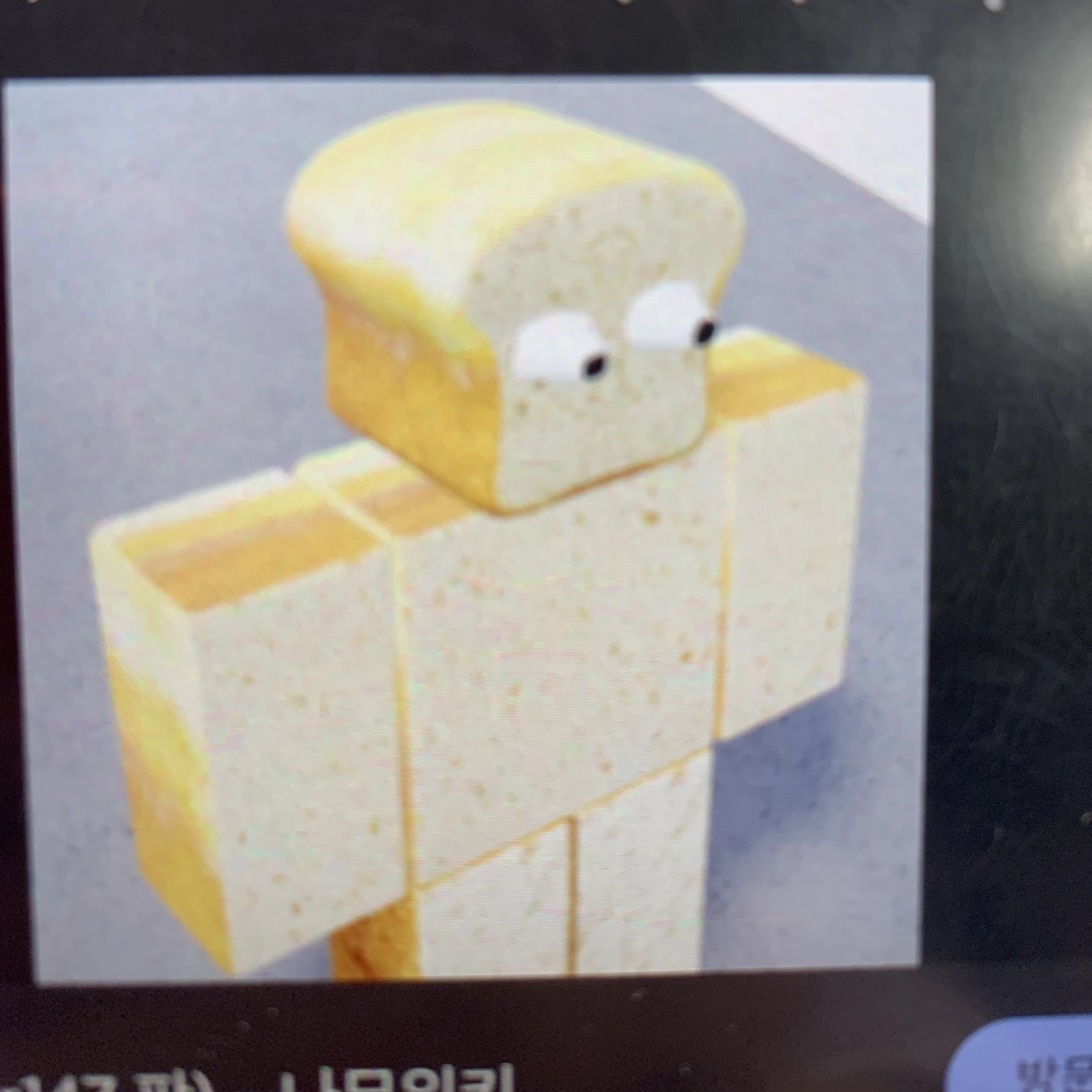 준브레드