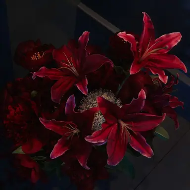Profile image of 西畑大吾