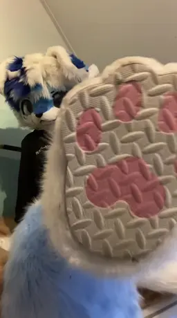 Profile image of Elliott