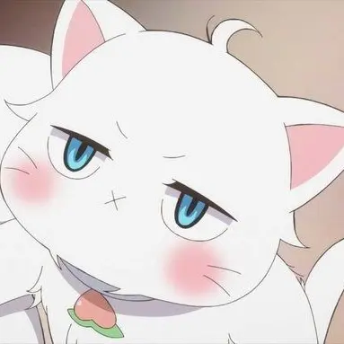 klatjsdkk02의 백도