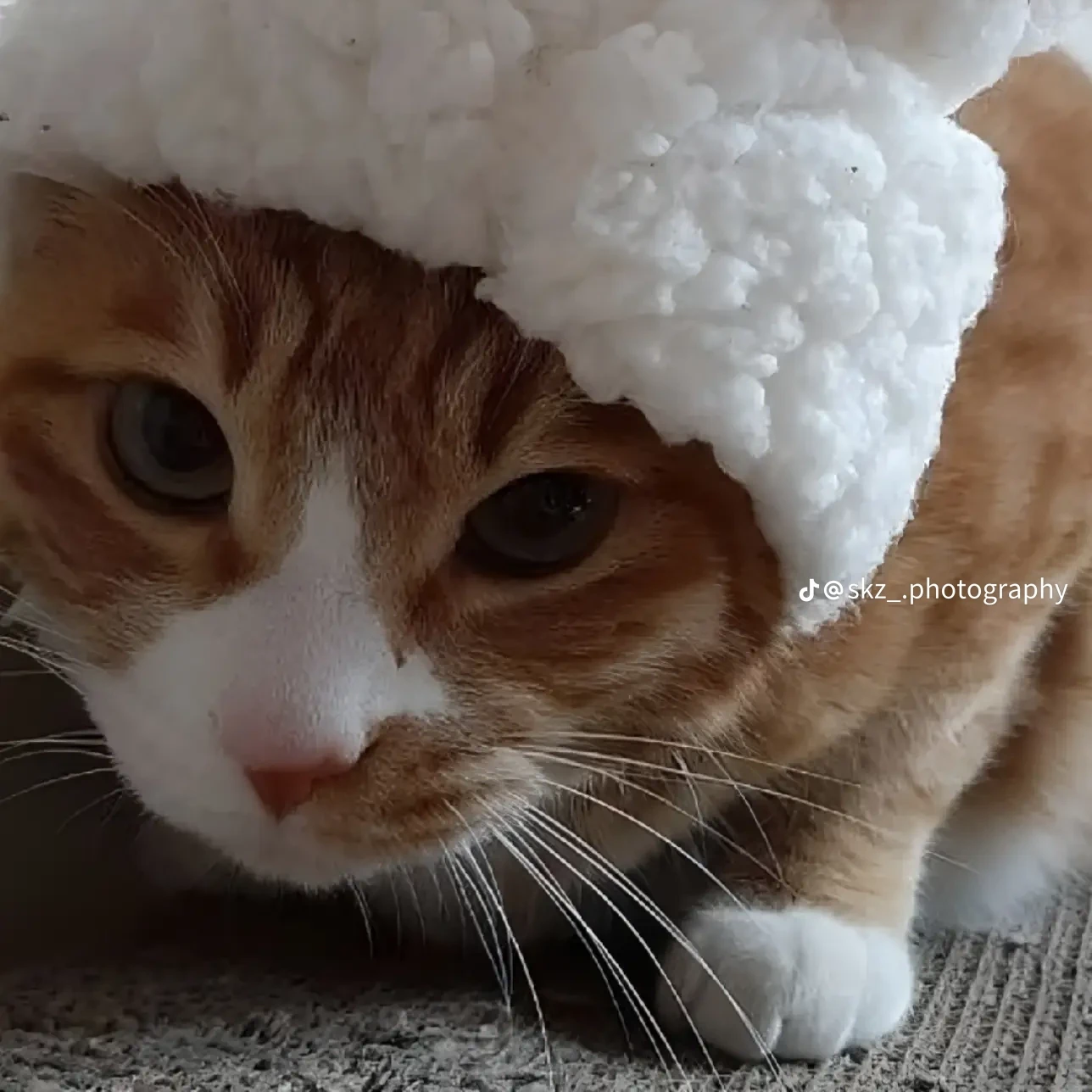 이민호