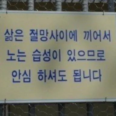 Profile image of 나카무라
