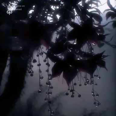 Profile image of Edwin