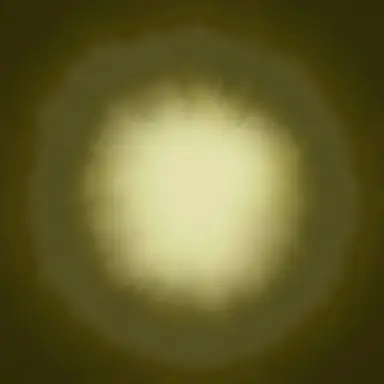 Profile image of 悠佑