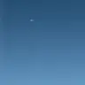 Profile image of 지선도령