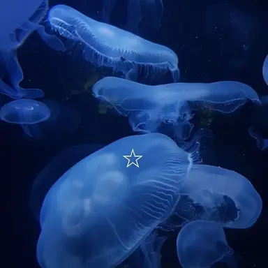 Profile image of 알바rpg