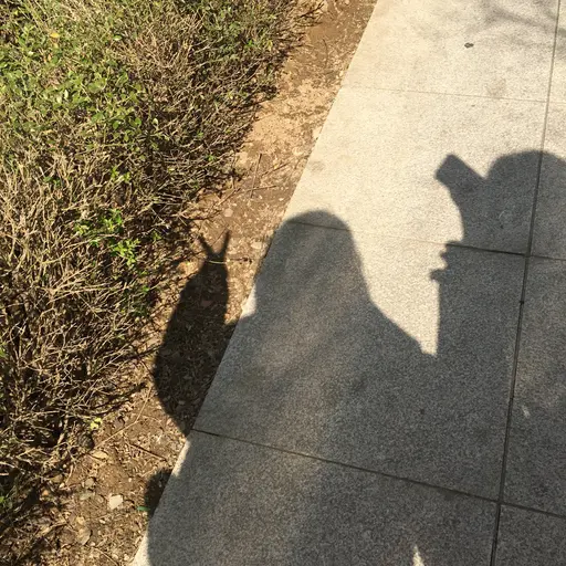CoarseLoss12345678의 장소윤