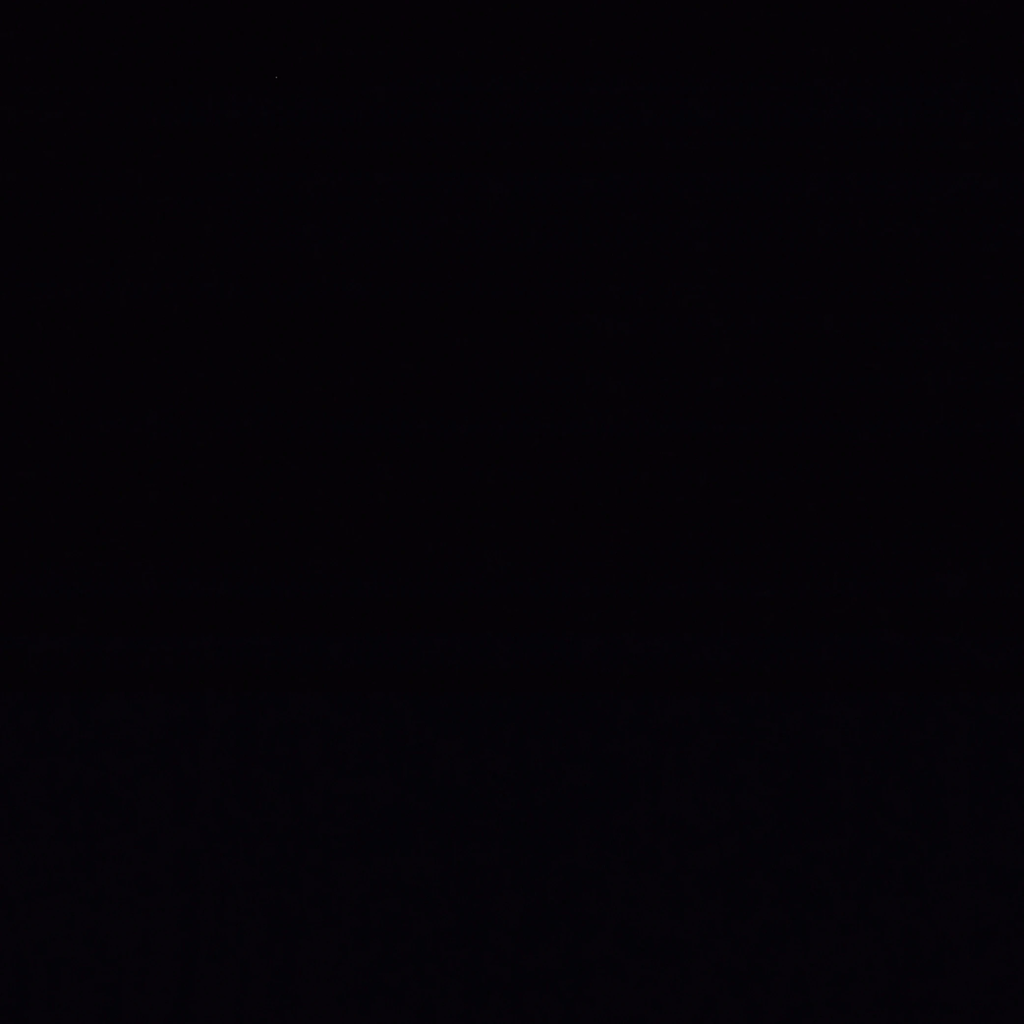 베일리