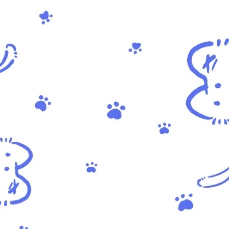 잭