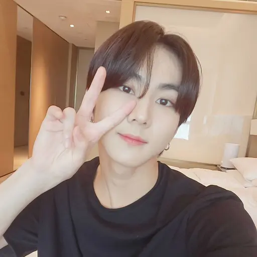 ClassyGecko7591의 엔하이픈 가족