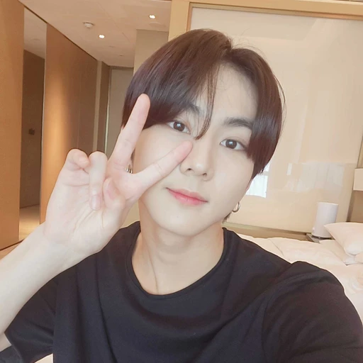 엔하이픈 가족