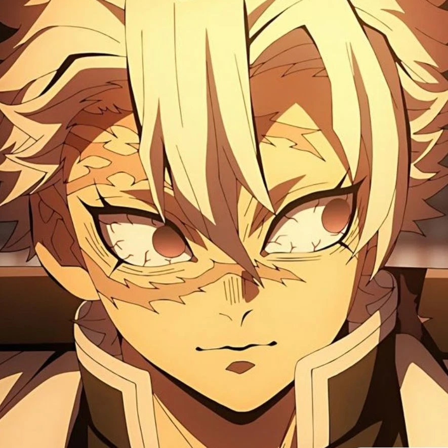 시나즈가와 사네미