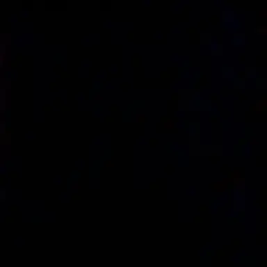 Profile image of 정이안