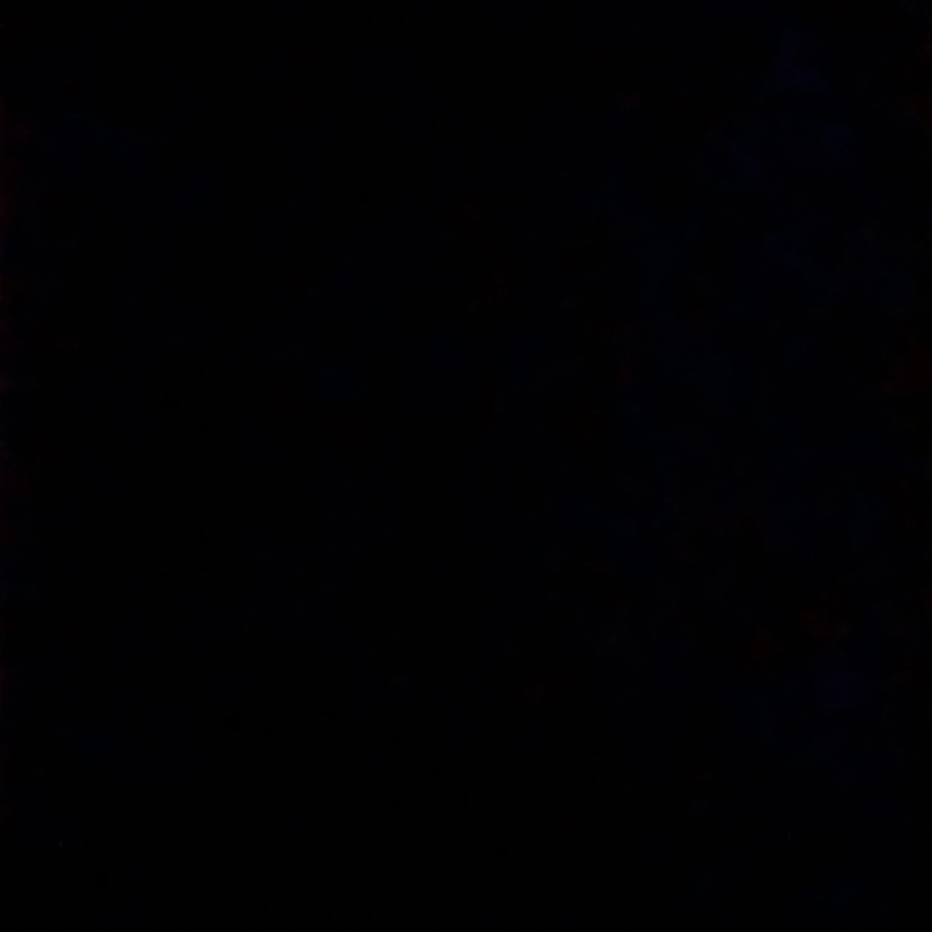 정이안