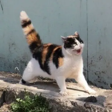 Profile image of キム・ハヌル