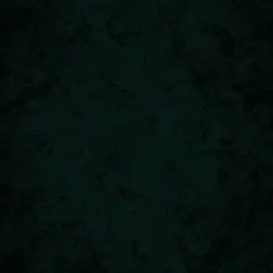 Profile image of 브루스
