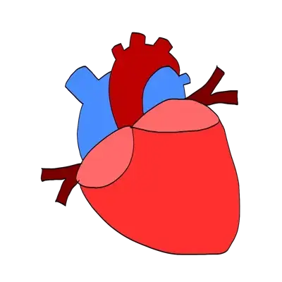 IcyPika9372의 A cardiophile
