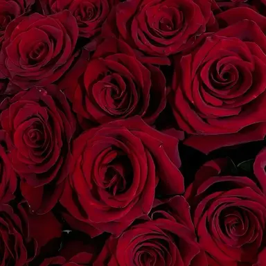 Profile image of 涼太