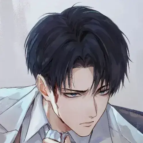 SadTired4259의 Levi Ackerman