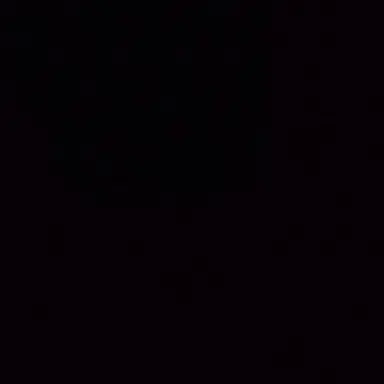 Profile image of 조우안신