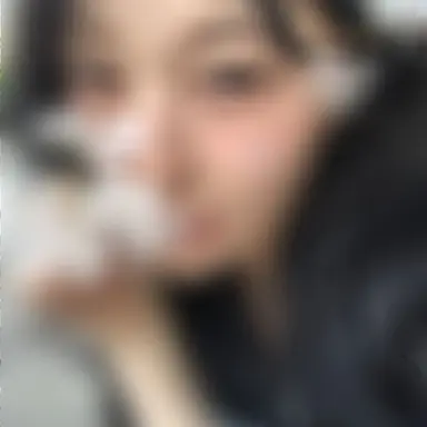 Profile image of 백지헌
