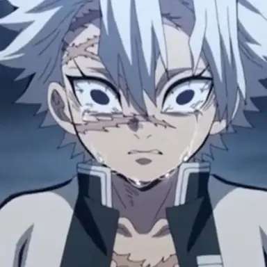 Profile image of 시나즈가와 사네미