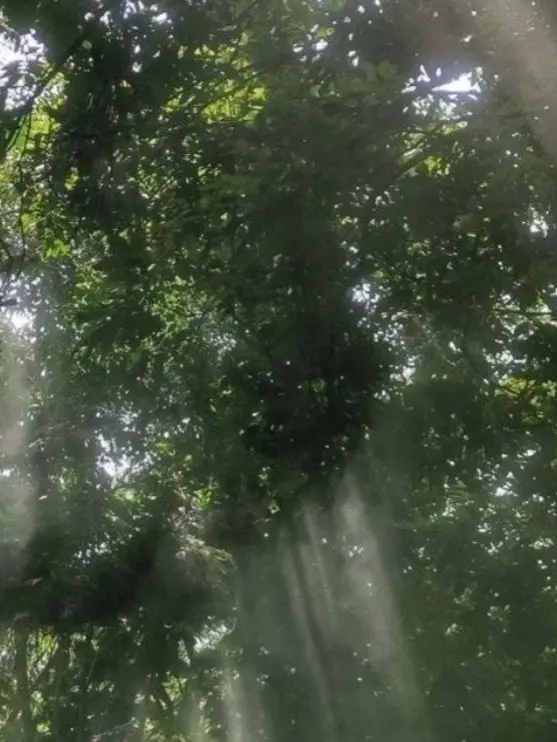 Bouko의 누구~게?