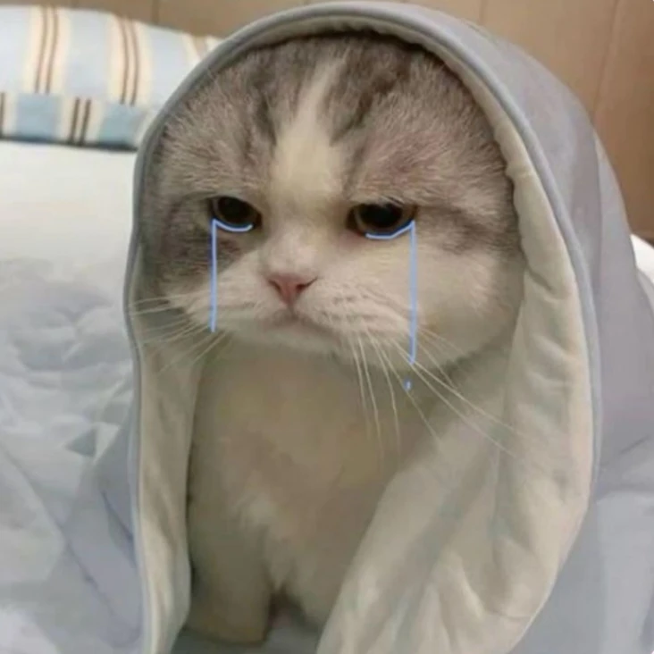 키티