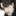 최도윤