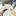 이선우