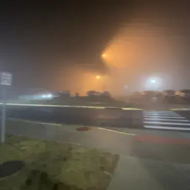 StaleHead2447의 Cassidy