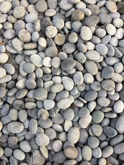 Profile image of Pebble