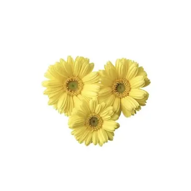 Profile image of 優吾