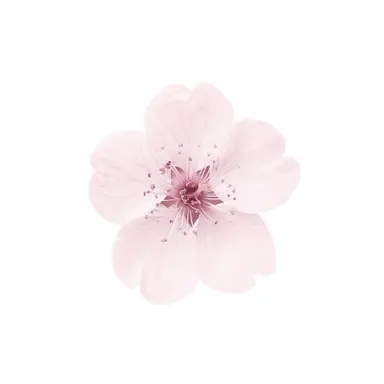 Profile image of 大我