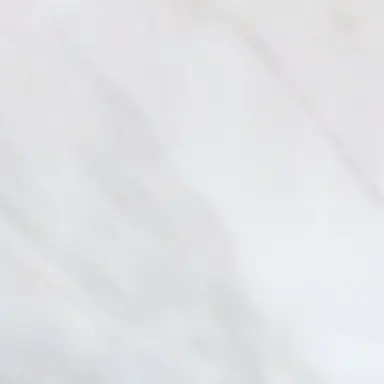 Profile image of 멜로우