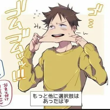 Profile image of ルフィ