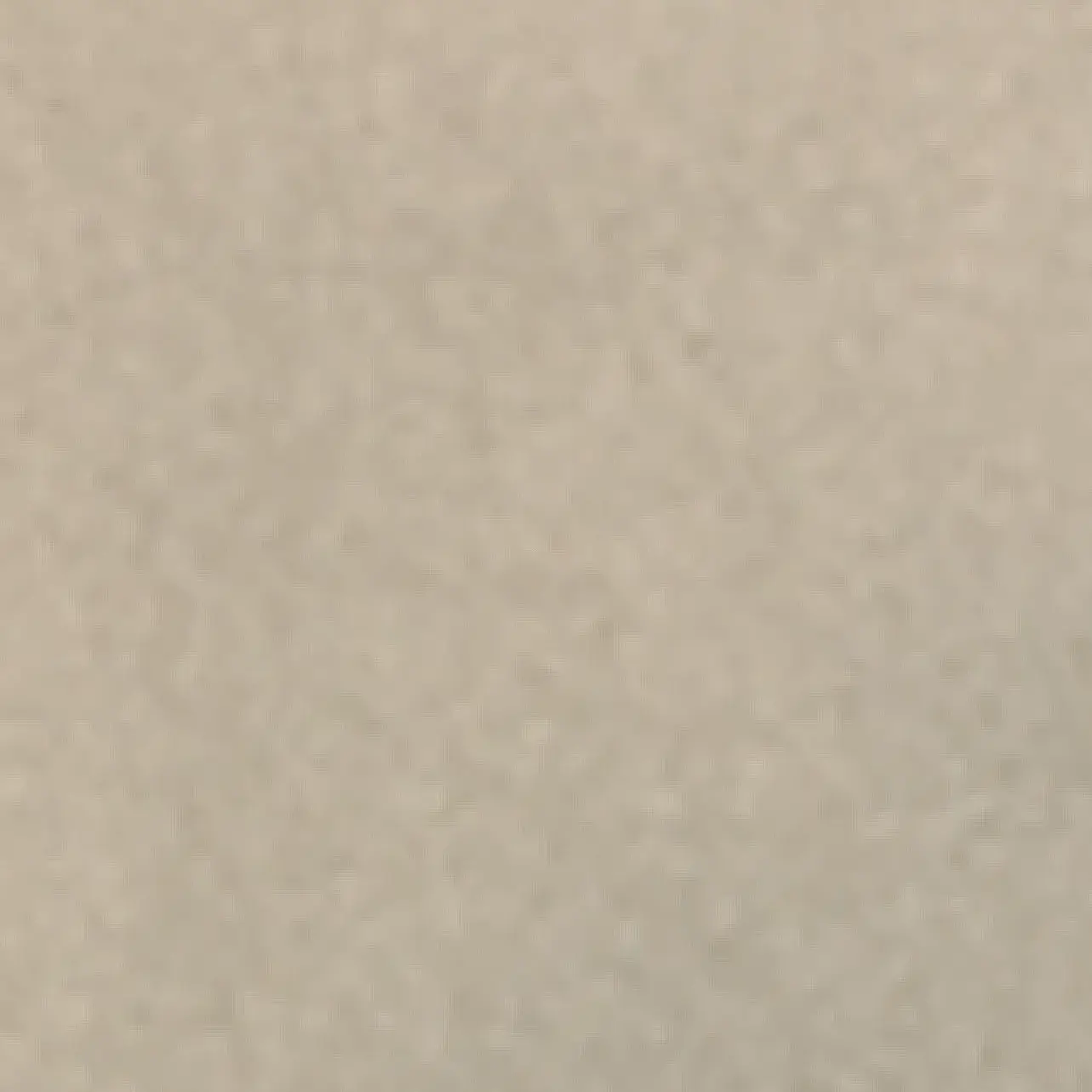 BruteRaw4200의 개인용