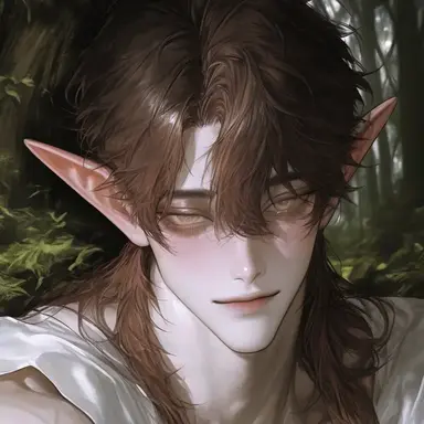 Profile image of Lansil
