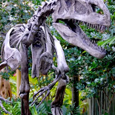 Profile image of scp-250
