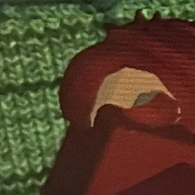 Profile image of Hank