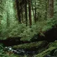 Profile image of Build your own world