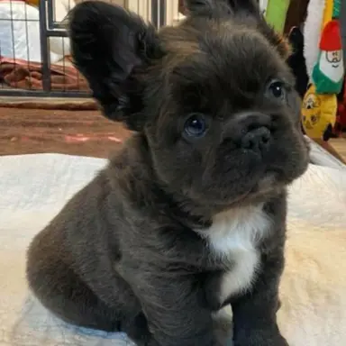 Profile image of Max