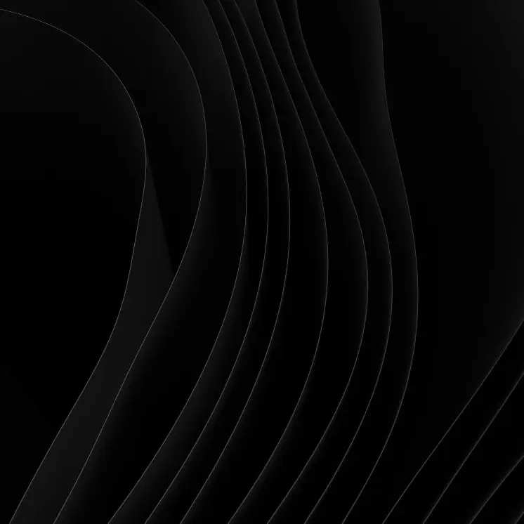 AfraidVase4217의 이상한 컨휴 가족들