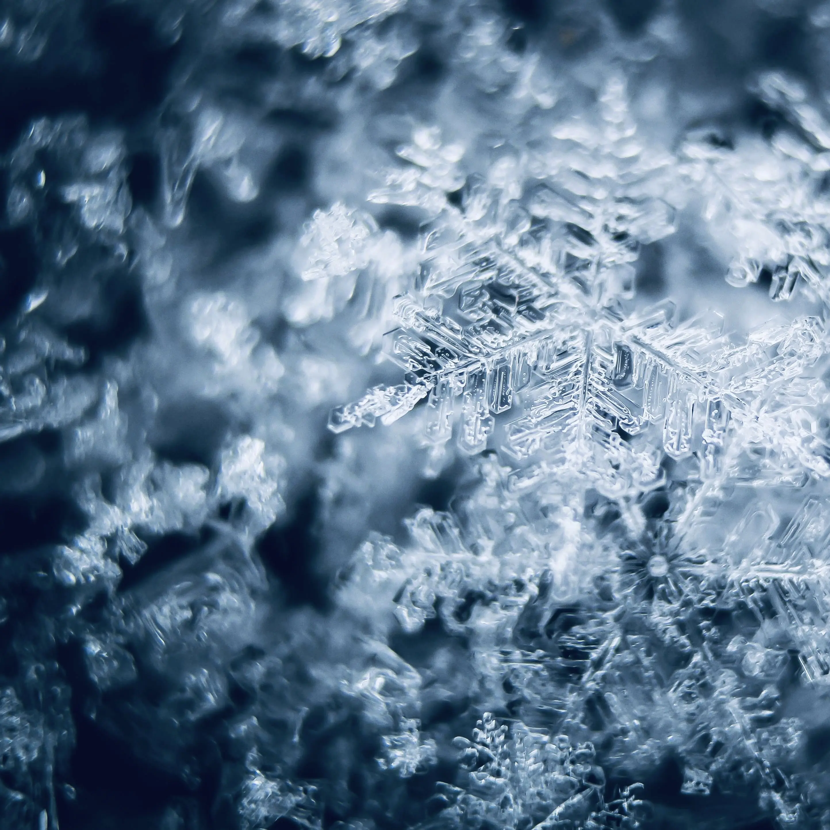 Saltykimchisoup의 '당신은 정말 흥미로운 존재입니다.'