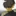 kamome